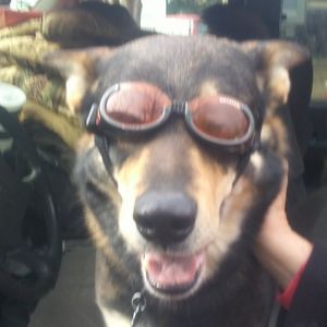 Meet your Posher, Mike